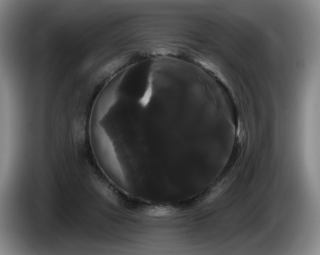X0000085220402200703091204