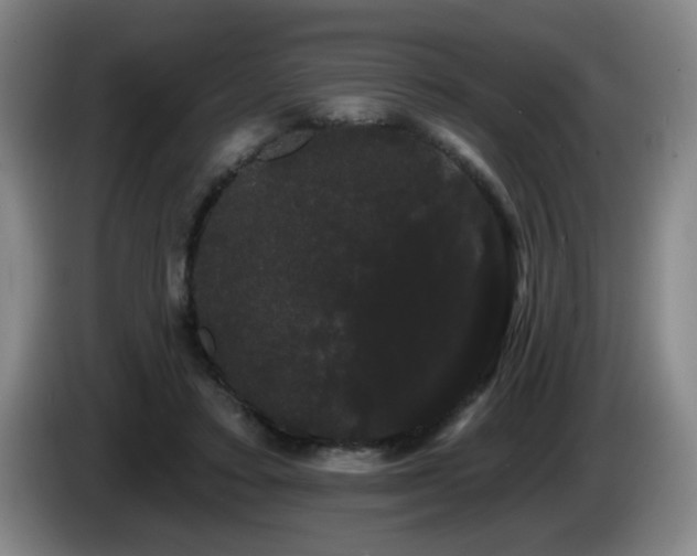 X0000085220403200703091204