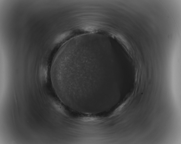 X0000085220404200703091204