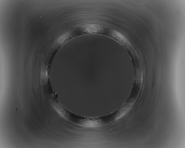 X0000085220405200703091204