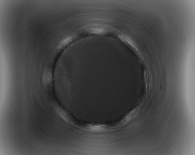 X0000085220407200703091204