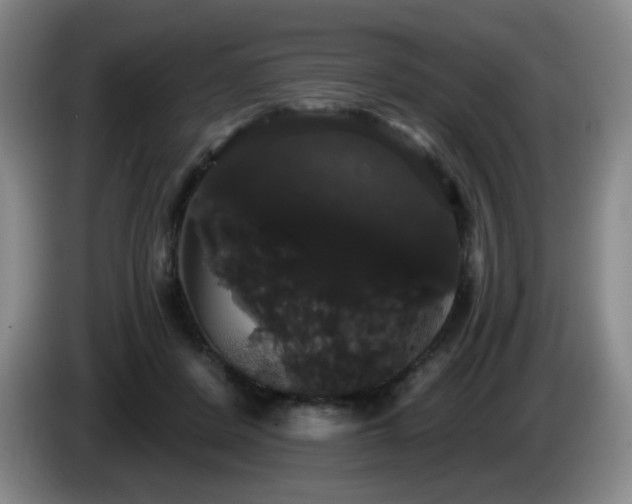 X0000085220408200703091204