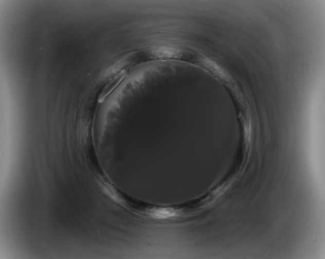 X0000085220409200703091204