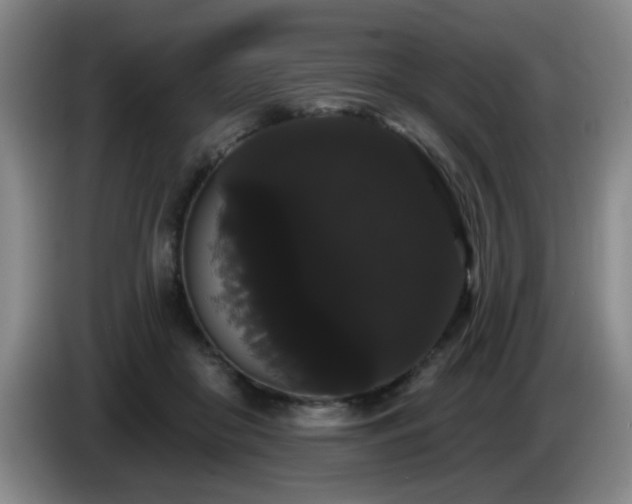 X0000085220410200703091204