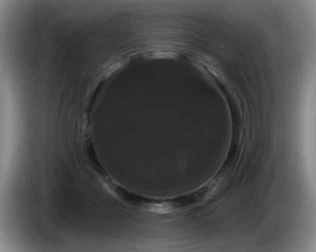 X0000085220411200703091204