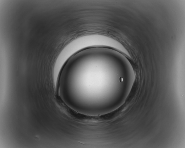X0000085220412200703091204