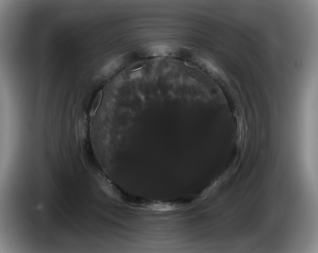 X0000085220413200703091204