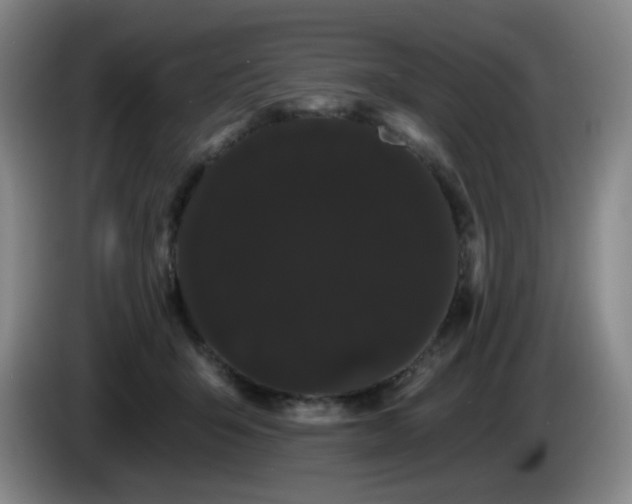 X0000085220415200703091204