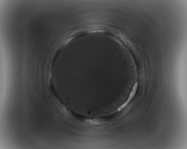 X0000085220417200703091204