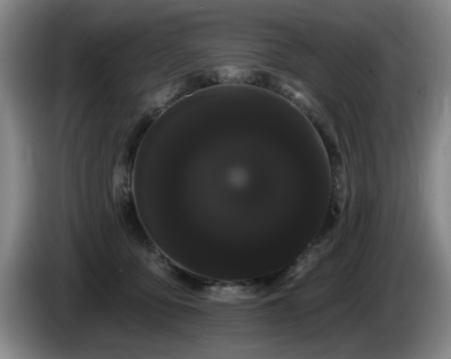 X0000085220419200703091204