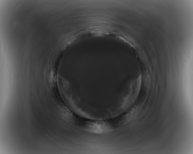 X0000085220420200703091204