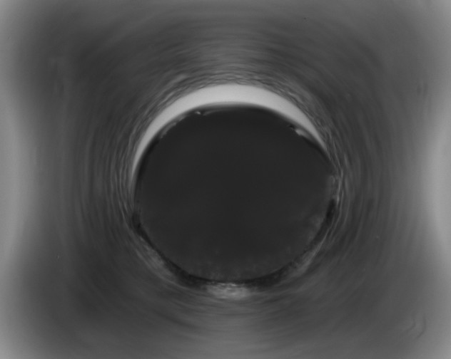 X0000085220421200703091204