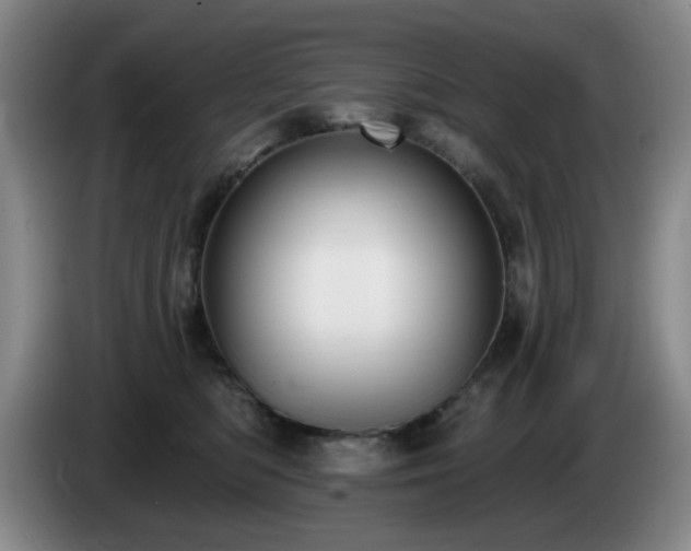 X0000085220422200703091204