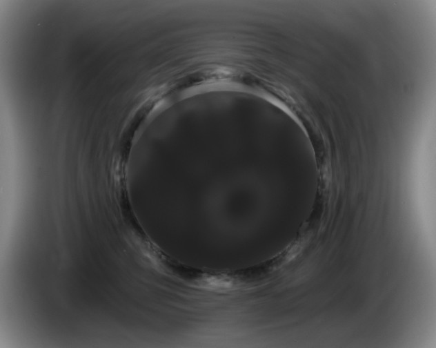 X0000085220423200703091204