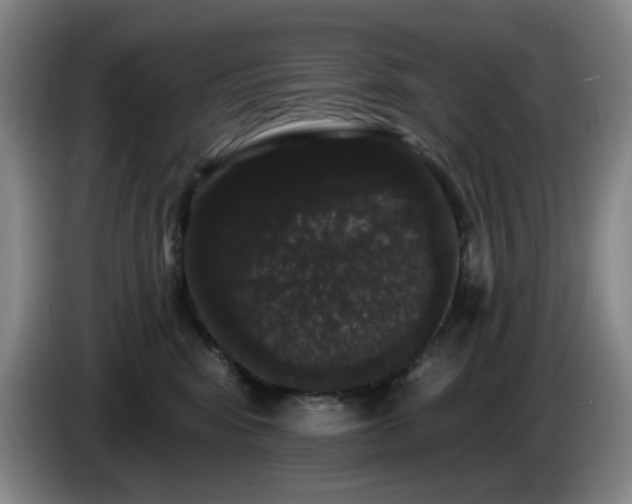 X0000085220424200703091204