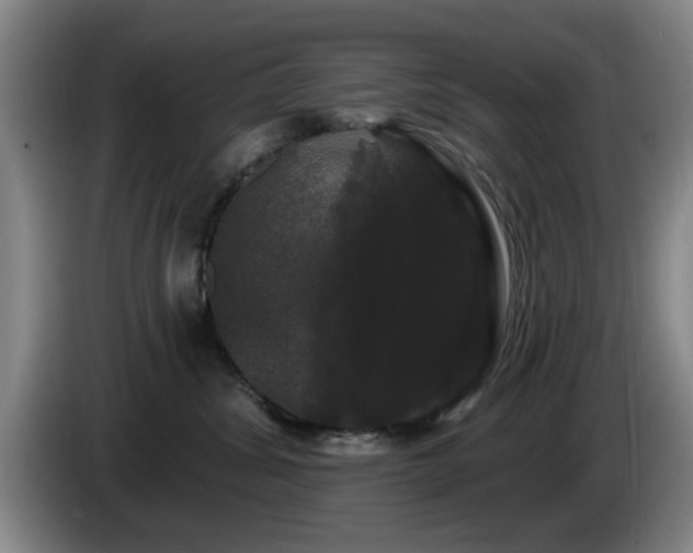 X0000085220428200703091204