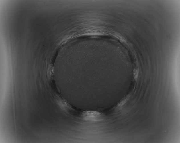 X0000085220429200703091204