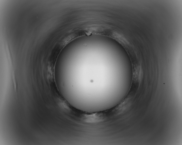 X0000085220430200703091204