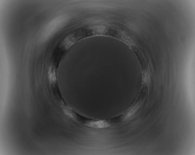 X0000085220431200703091204
