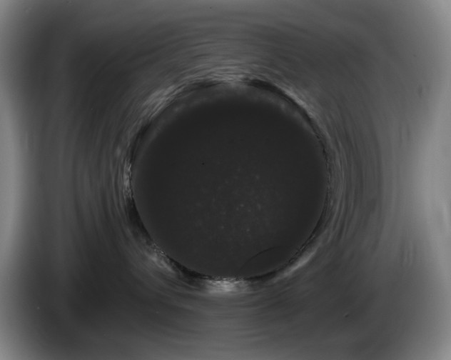 X0000085220432200703091204
