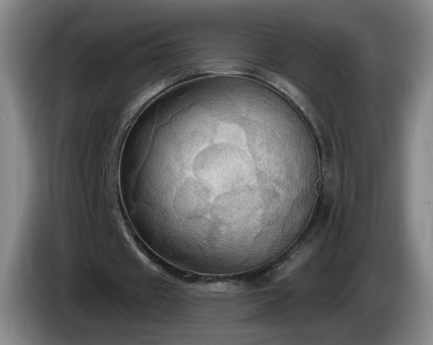 X0000085220433200703091203
