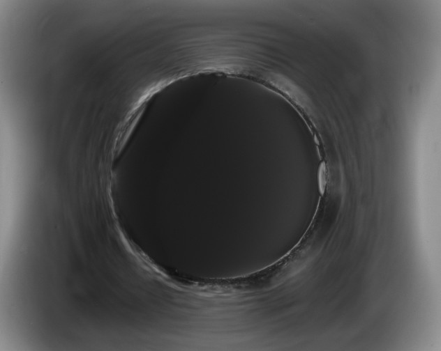X0000085220434200703091203