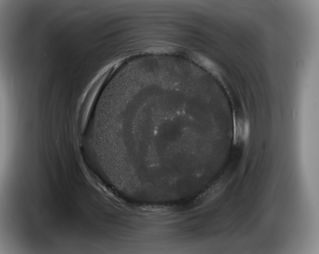 X0000085220435200703091203