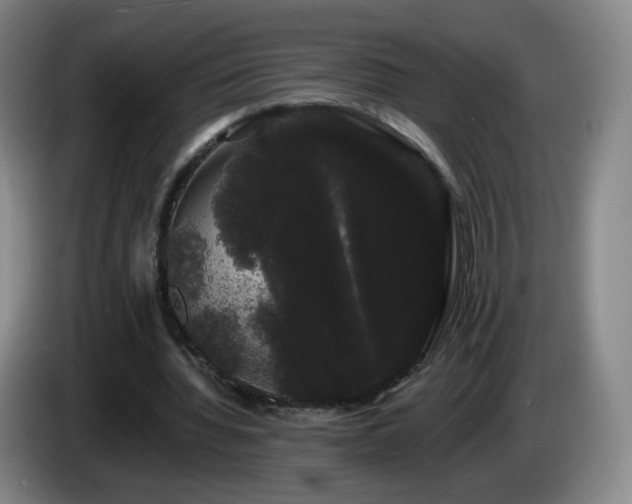 X0000085220436200703091203