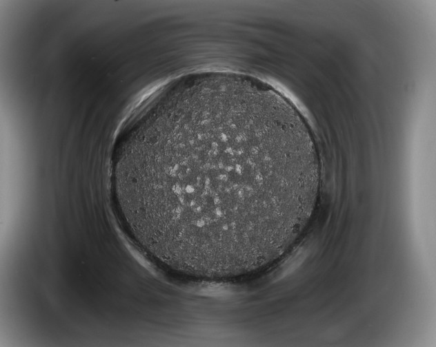 X0000085220437200703091203