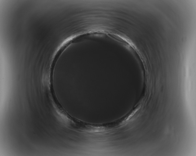 X0000085220438200703091203