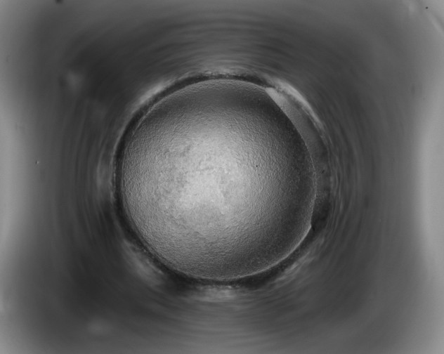 X0000085220439200703091203