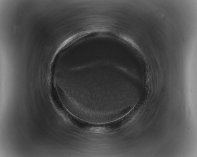 X0000085220440200703091203
