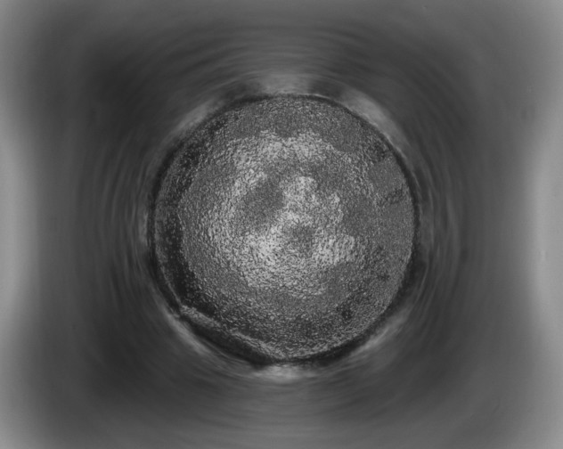 X0000085220441200703091203