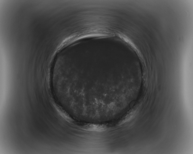 X0000085220442200703091203