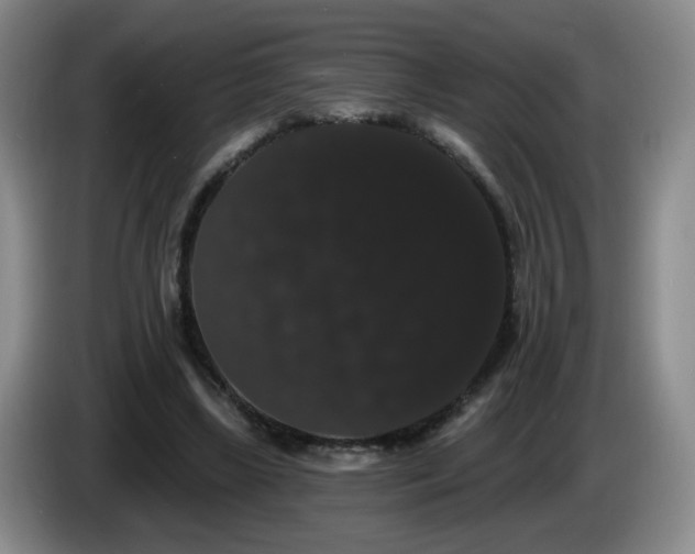 X0000085220443200703091203