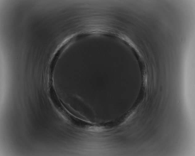 X0000085220444200703091203