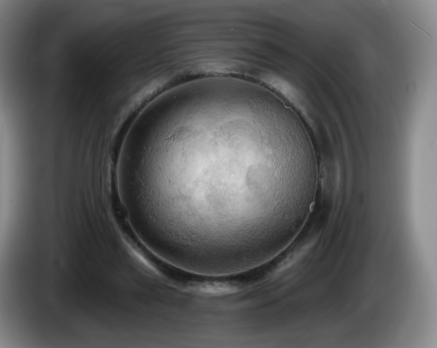 X0000085220445200703091203