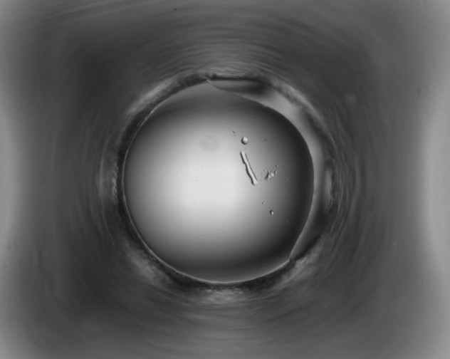 X0000085220446200703091203