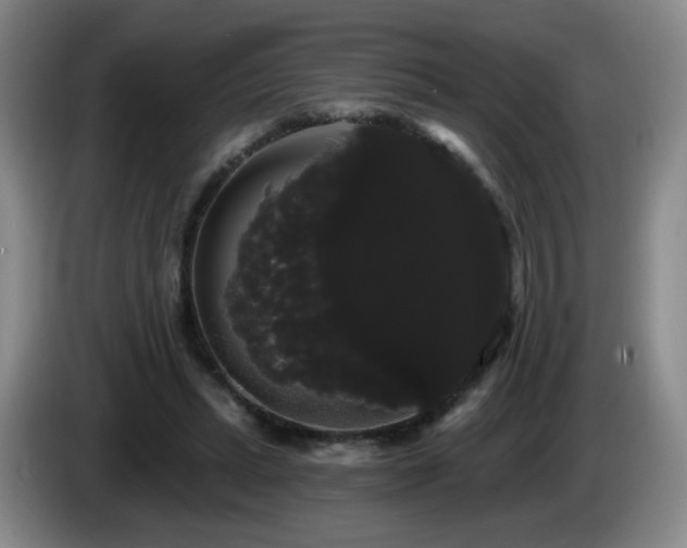 X0000085220447200703091204