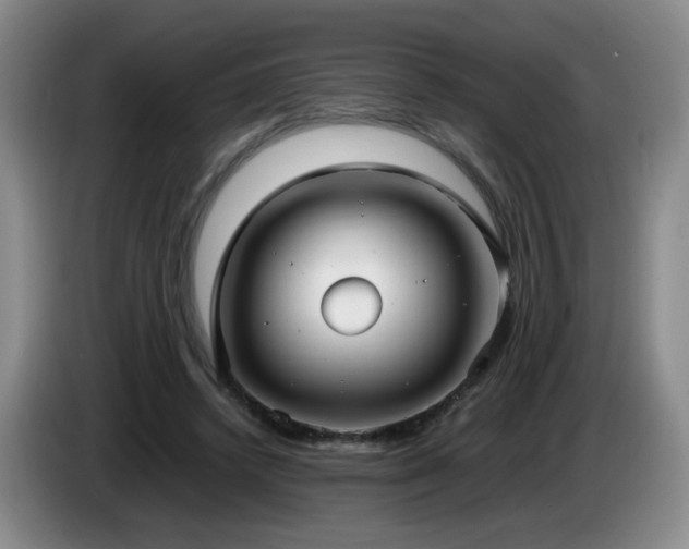 X0000085220448200703091204
