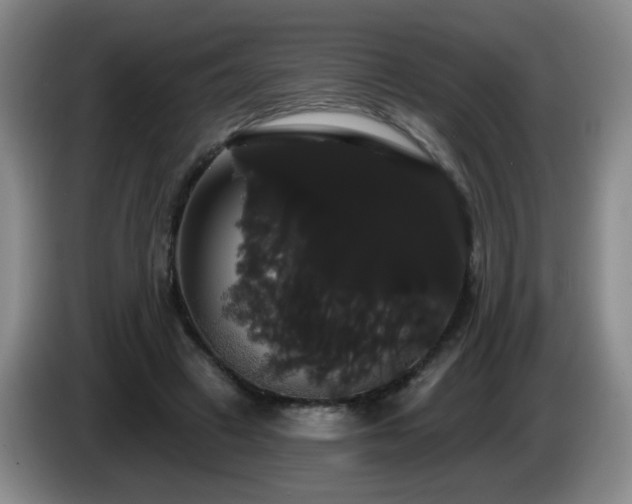 X0000085220449200703091204