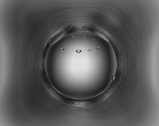 X0000085220450200703091204