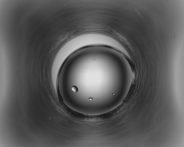 X0000085220452200703091204