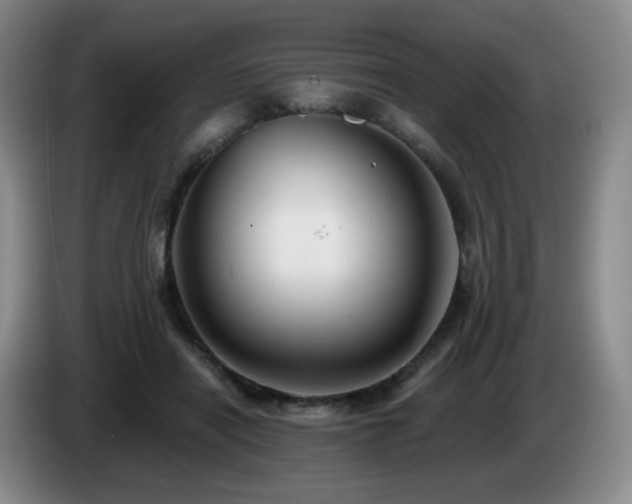 X0000085220454200703091204