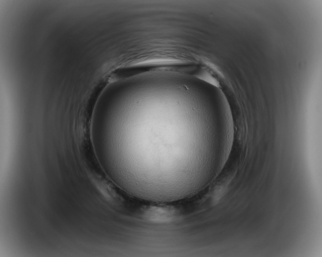 X0000085220455200703091204