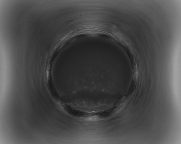 X0000085220456200703091204