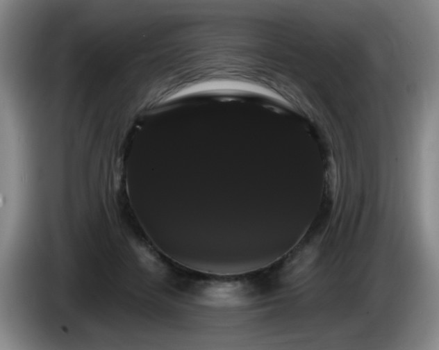X0000085220458200703091204