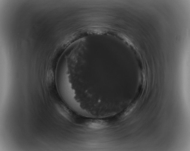 X0000085220459200703091204