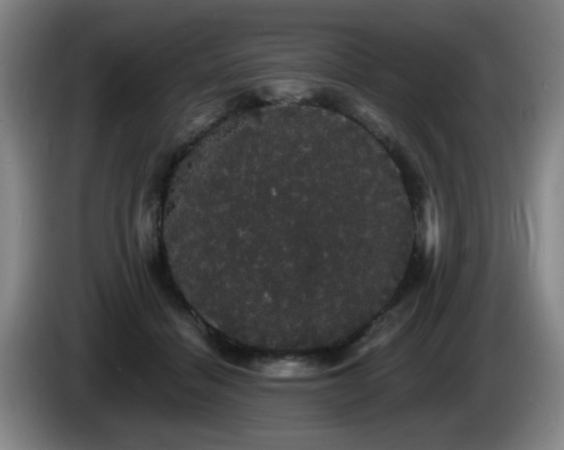 X0000085220460200703091204