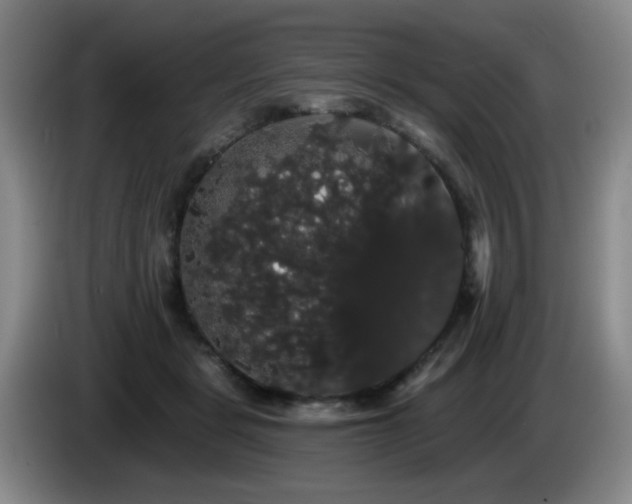 X0000085220461200703091204
